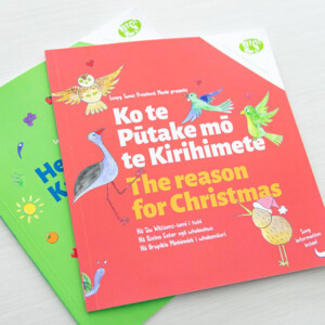The two Rainbow Collection Christmas books displayed on a table