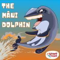 The māui dolphin